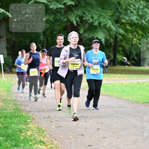 30.08.2026 - Blankeneser Heldenlauf Dr. Thomas Lammeyer http://msf.ph/oto/10013181 30.08.2026 09:43:04 Laufen 1135, 1290 meine-sportfotos.de