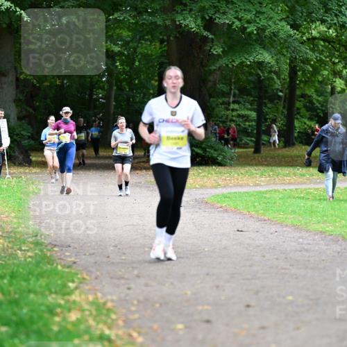 30.08.2026 - Blankeneser Heldenlauf Dr. Thomas Lammeyer http://msf.ph/oto/10013401 30.08.2026 09:43:55 Laufen  meine-sportfotos.de