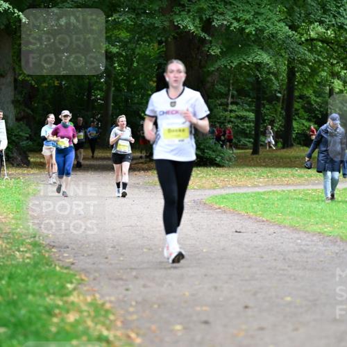 30.08.2026 - Blankeneser Heldenlauf Dr. Thomas Lammeyer http://msf.ph/oto/10013402 30.08.2026 09:43:55 Laufen  meine-sportfotos.de