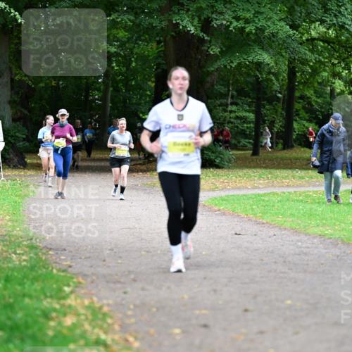 30.08.2026 - Blankeneser Heldenlauf Dr. Thomas Lammeyer http://msf.ph/oto/10013403 30.08.2026 09:43:55 Laufen  meine-sportfotos.de