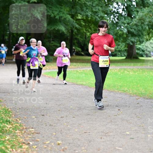 30.08.2026 - Blankeneser Heldenlauf Dr. Thomas Lammeyer http://msf.ph/oto/10013607 30.08.2026 09:44:41 Laufen 1541 meine-sportfotos.de