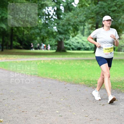 30.08.2026 - Blankeneser Heldenlauf Dr. Thomas Lammeyer http://msf.ph/oto/10013695 30.08.2026 09:45:07 Laufen 1282 meine-sportfotos.de