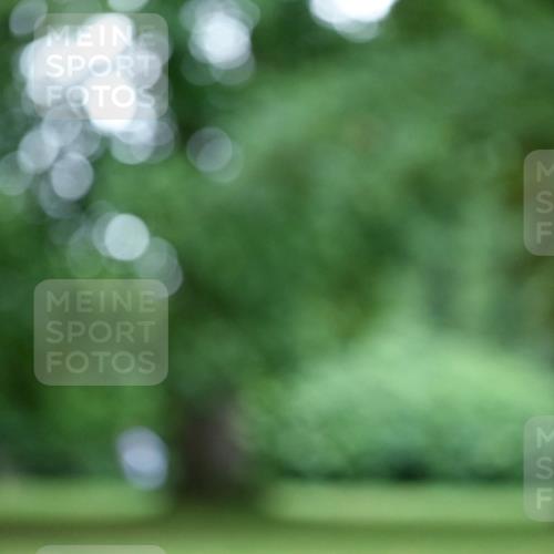 30.08.2026 - Blankeneser Heldenlauf Dr. Thomas Lammeyer http://msf.ph/oto/10014659 30.08.2026 09:49:50 Laufen  meine-sportfotos.de