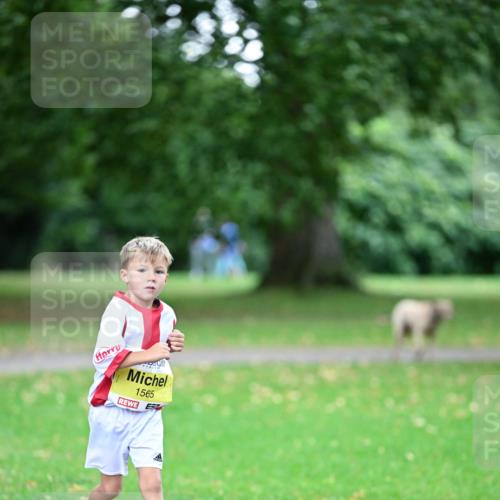 30.08.2026 - Blankeneser Heldenlauf Dr. Thomas Lammeyer http://msf.ph/oto/10014781 30.08.2026 09:51:13 Laufen 1565 meine-sportfotos.de