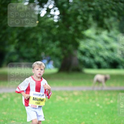 30.08.2026 - Blankeneser Heldenlauf Dr. Thomas Lammeyer http://msf.ph/oto/10014782 30.08.2026 09:51:13 Laufen 1565 meine-sportfotos.de