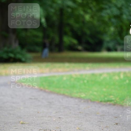 30.08.2026 - Blankeneser Heldenlauf Dr. Thomas Lammeyer http://msf.ph/oto/10015503 30.08.2026 09:57:21 Laufen 5487 meine-sportfotos.de