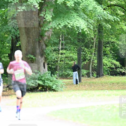 30.08.2026 - Blankeneser Heldenlauf Dr. Thomas Lammeyer http://msf.ph/oto/10015970 30.08.2026 10:00:27 Laufen  meine-sportfotos.de