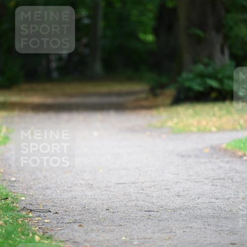 30.08.2026 - Blankeneser Heldenlauf Dr. Thomas Lammeyer http://msf.ph/oto/10016013 30.08.2026 10:00:37 Laufen 52008, 58 meine-sportfotos.de