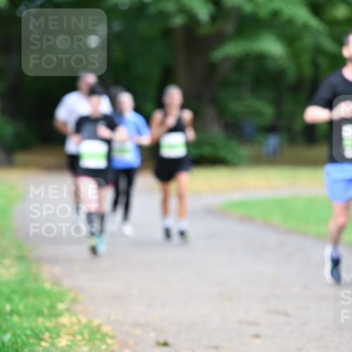 30.08.2026 - Blankeneser Heldenlauf Dr. Thomas Lammeyer http://msf.ph/oto/10016962 30.08.2026 10:04:43 Laufen  meine-sportfotos.de