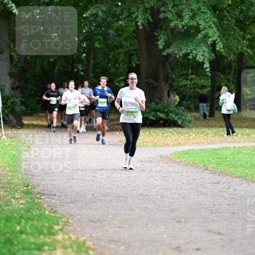 30.08.2026 - Blankeneser Heldenlauf Dr. Thomas Lammeyer http://msf.ph/oto/10017555 30.08.2026 10:06:48 Laufen 5172 meine-sportfotos.de