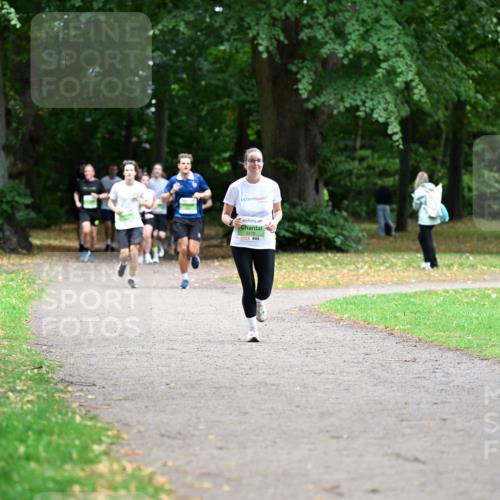 30.08.2026 - Blankeneser Heldenlauf Dr. Thomas Lammeyer http://msf.ph/oto/10017557 30.08.2026 10:06:48 Laufen  meine-sportfotos.de