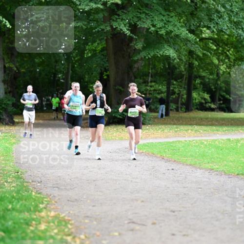 30.08.2026 - Blankeneser Heldenlauf Dr. Thomas Lammeyer http://msf.ph/oto/10020675 30.08.2026 10:11:52 Laufen  meine-sportfotos.de