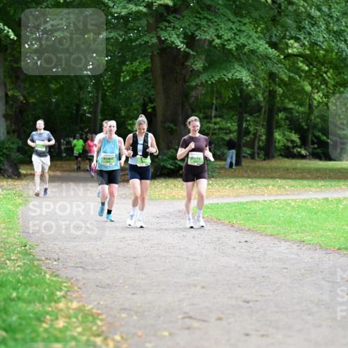 30.08.2026 - Blankeneser Heldenlauf Dr. Thomas Lammeyer http://msf.ph/oto/10020677 30.08.2026 10:11:52 Laufen  meine-sportfotos.de
