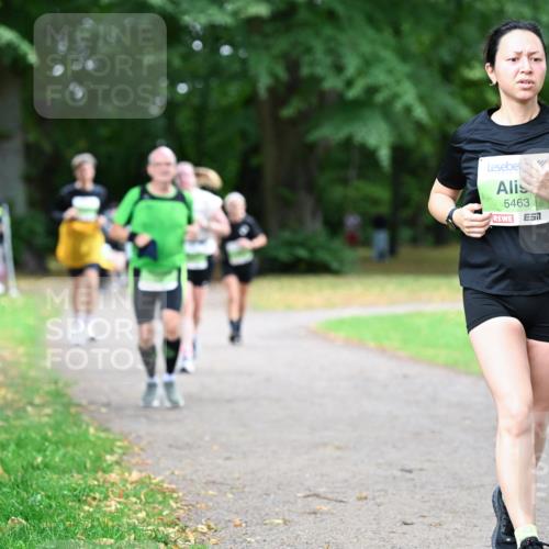 30.08.2026 - Blankeneser Heldenlauf Dr. Thomas Lammeyer http://msf.ph/oto/10021356 30.08.2026 10:13:02 Laufen 5463 meine-sportfotos.de
