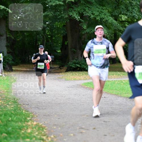 30.08.2026 - Blankeneser Heldenlauf Dr. Thomas Lammeyer http://msf.ph/oto/10021613 30.08.2026 10:13:22 Laufen  meine-sportfotos.de
