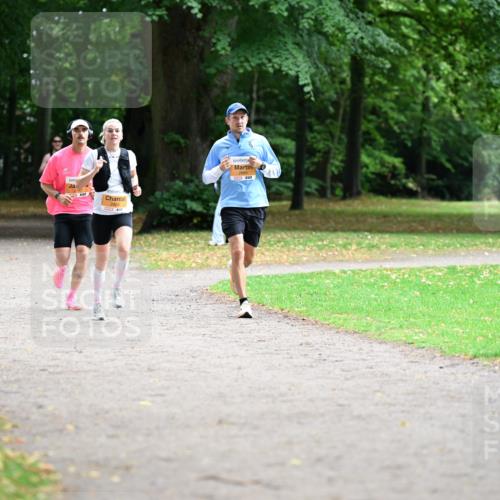 30.08.2026 - Blankeneser Heldenlauf Dr. Thomas Lammeyer http://msf.ph/oto/10025531 30.08.2026 10:28:32 Laufen  meine-sportfotos.de