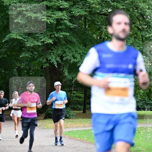 30.08.2026 - Blankeneser Heldenlauf Dr. Thomas Lammeyer http://msf.ph/oto/10026202 30.08.2026 10:31:24 Laufen  meine-sportfotos.de