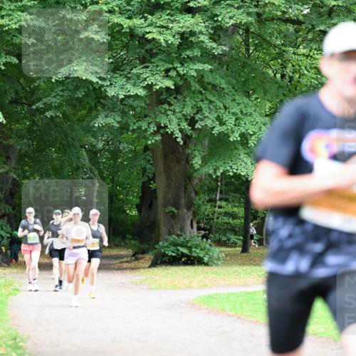 30.08.2026 - Blankeneser Heldenlauf Dr. Thomas Lammeyer http://msf.ph/oto/10026259 30.08.2026 10:31:38 Laufen  meine-sportfotos.de