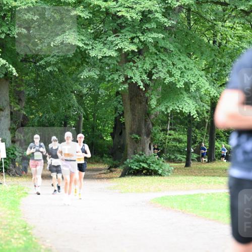 30.08.2026 - Blankeneser Heldenlauf Dr. Thomas Lammeyer http://msf.ph/oto/10026260 30.08.2026 10:31:38 Laufen  meine-sportfotos.de