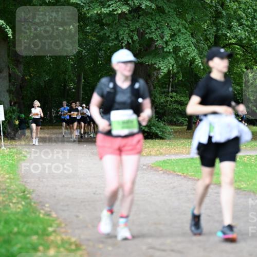30.08.2026 - Blankeneser Heldenlauf Dr. Thomas Lammeyer http://msf.ph/oto/10026298 30.08.2026 10:31:50 Laufen  meine-sportfotos.de