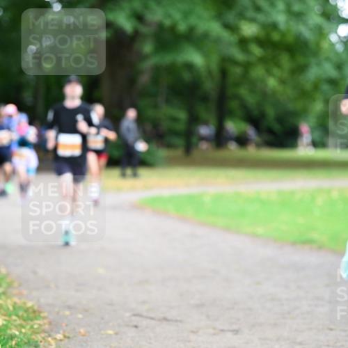 30.08.2026 - Blankeneser Heldenlauf Dr. Thomas Lammeyer http://msf.ph/oto/10026680 30.08.2026 10:33:31 Laufen  meine-sportfotos.de