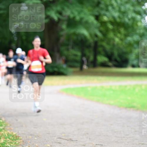 30.08.2026 - Blankeneser Heldenlauf Dr. Thomas Lammeyer http://msf.ph/oto/10031665 30.08.2026 10:35:11 Laufen  meine-sportfotos.de