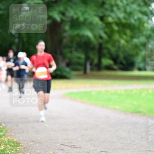 30.08.2026 - Blankeneser Heldenlauf Dr. Thomas Lammeyer http://msf.ph/oto/10031667 30.08.2026 10:35:11 Laufen  meine-sportfotos.de
