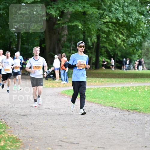 30.08.2026 - Blankeneser Heldenlauf Dr. Thomas Lammeyer http://msf.ph/oto/10032264 30.08.2026 10:36:18 Laufen 2016, 2911 meine-sportfotos.de
