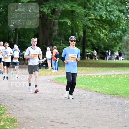 30.08.2026 - Blankeneser Heldenlauf Dr. Thomas Lammeyer http://msf.ph/oto/10032266 30.08.2026 10:36:18 Laufen 2016, 2911 meine-sportfotos.de