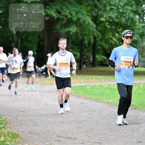 30.08.2026 - Blankeneser Heldenlauf Dr. Thomas Lammeyer http://msf.ph/oto/10032279 30.08.2026 10:36:19 Laufen 2016, 2911 meine-sportfotos.de