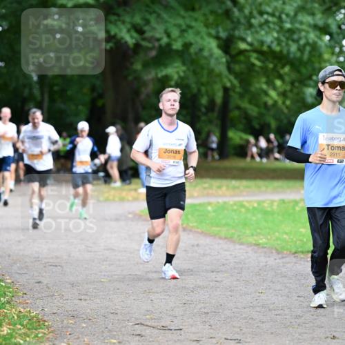 30.08.2026 - Blankeneser Heldenlauf Dr. Thomas Lammeyer http://msf.ph/oto/10032282 30.08.2026 10:36:20 Laufen 2016, 2911 meine-sportfotos.de