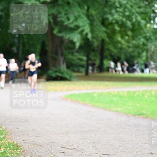 30.08.2026 - Blankeneser Heldenlauf Dr. Thomas Lammeyer http://msf.ph/oto/10032483 30.08.2026 10:36:40 Laufen  meine-sportfotos.de