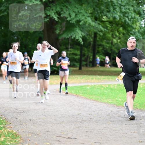 30.08.2026 - Blankeneser Heldenlauf Dr. Thomas Lammeyer http://msf.ph/oto/10032631 30.08.2026 10:37:00 Laufen  meine-sportfotos.de