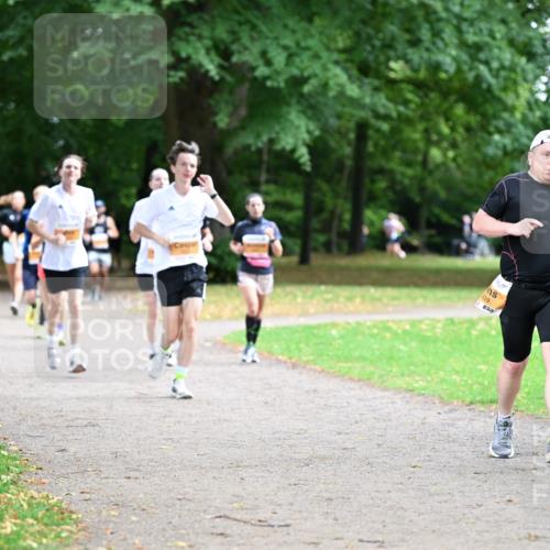 30.08.2026 - Blankeneser Heldenlauf Dr. Thomas Lammeyer http://msf.ph/oto/10032634 30.08.2026 10:37:00 Laufen 409 meine-sportfotos.de