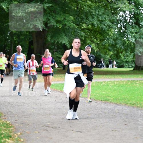 30.08.2026 - Blankeneser Heldenlauf Dr. Thomas Lammeyer http://msf.ph/oto/10033318 30.08.2026 10:38:23 Laufen  meine-sportfotos.de