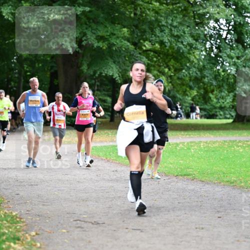 30.08.2026 - Blankeneser Heldenlauf Dr. Thomas Lammeyer http://msf.ph/oto/10033320 30.08.2026 10:38:23 Laufen  meine-sportfotos.de
