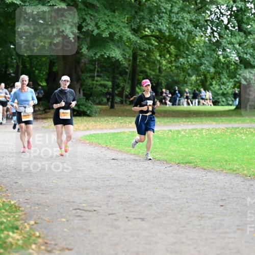 30.08.2026 - Blankeneser Heldenlauf Dr. Thomas Lammeyer http://msf.ph/oto/10033801 30.08.2026 10:39:29 Laufen  meine-sportfotos.de