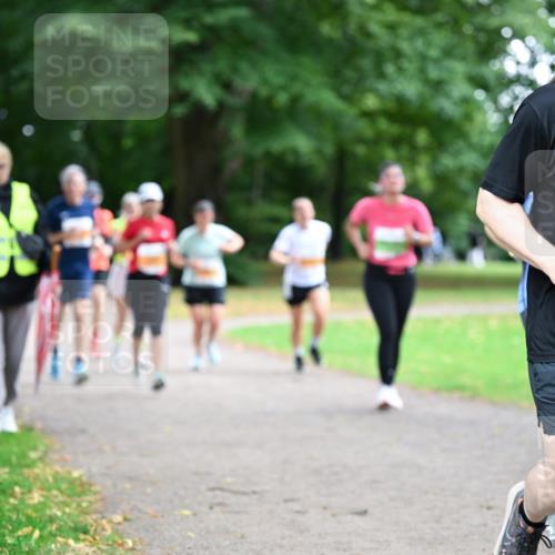 30.08.2026 - Blankeneser Heldenlauf Dr. Thomas Lammeyer http://msf.ph/oto/10034176 30.08.2026 10:40:18 Laufen 8, 1, 2, 2, 2, 2349 meine-sportfotos.de