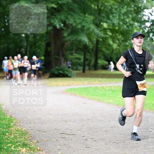 30.08.2026 - Blankeneser Heldenlauf Dr. Thomas Lammeyer http://msf.ph/oto/10034740 30.08.2026 10:41:37 Laufen 2362 meine-sportfotos.de