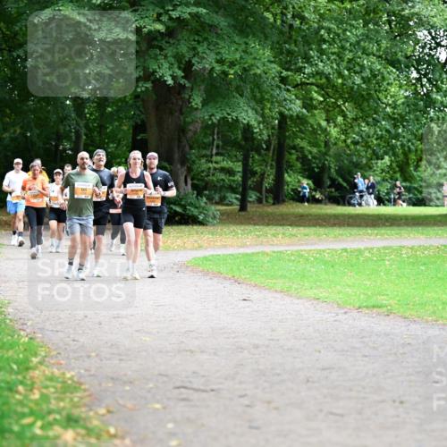 30.08.2026 - Blankeneser Heldenlauf Dr. Thomas Lammeyer http://msf.ph/oto/10034753 30.08.2026 10:41:41 Laufen  meine-sportfotos.de
