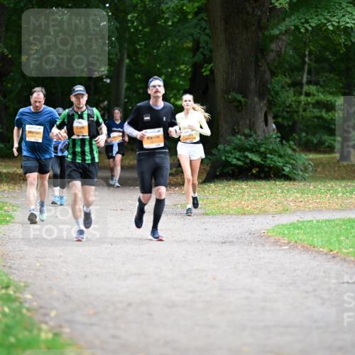 30.08.2026 - Blankeneser Heldenlauf Dr. Thomas Lammeyer http://msf.ph/oto/10036324 30.08.2026 10:46:11 Laufen  meine-sportfotos.de