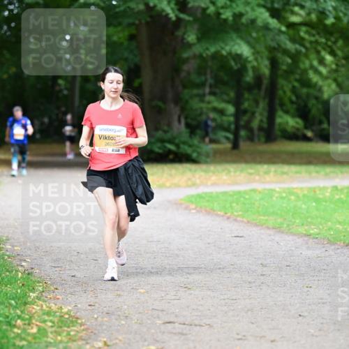 30.08.2026 - Blankeneser Heldenlauf Dr. Thomas Lammeyer http://msf.ph/oto/10037712 30.08.2026 10:54:21 Laufen 2628 meine-sportfotos.de