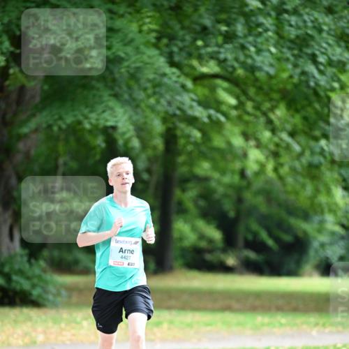 30.08.2026 - Blankeneser Heldenlauf Dr. Thomas Lammeyer http://msf.ph/oto/10038427 30.08.2026 11:08:54 Laufen 4427, 03 meine-sportfotos.de