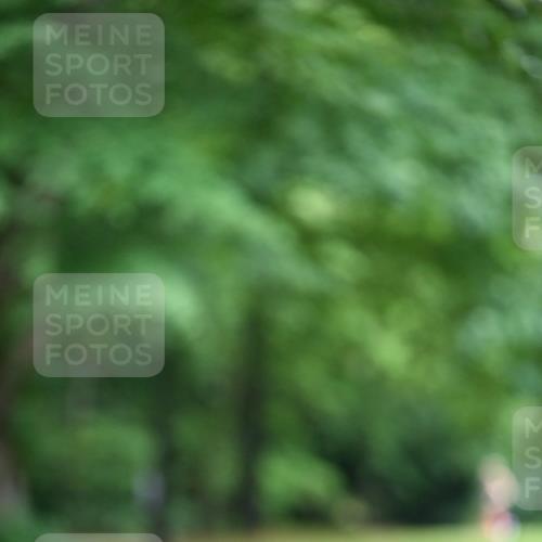 30.08.2026 - Blankeneser Heldenlauf Dr. Thomas Lammeyer http://msf.ph/oto/10047843 30.08.2026 11:26:47 Laufen  meine-sportfotos.de