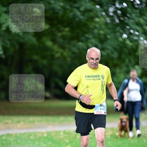 30.08.2026 - Blankeneser Heldenlauf Dr. Thomas Lammeyer http://msf.ph/oto/10048969 30.08.2026 11:29:57 Laufen 42, 2, 4403 meine-sportfotos.de