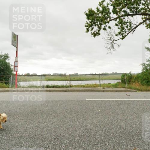 30.08.2026 - Elbe Triathlon Hamburg Michael Burmester http://msf.ph/oto/10050188 30.08.2026 15:41:51 Radfahren  meine-sportfotos.de