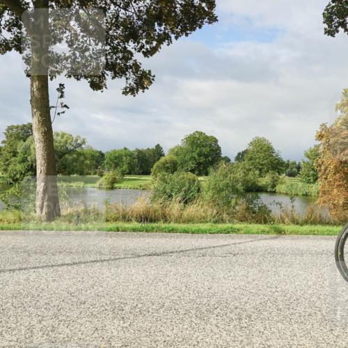 30.08.2026 - Elbe Triathlon Hamburg Michael Burmester http://msf.ph/oto/10051269 30.08.2026 09:53:27 Radfahren 283, 419, 808, 917 meine-sportfotos.de