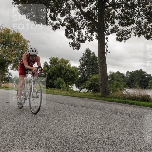 30.08.2026 - Elbe Triathlon Hamburg Michael Burmester http://msf.ph/oto/10054885 30.08.2026 11:16:33 Radfahren 1131, 1363, 1379 meine-sportfotos.de