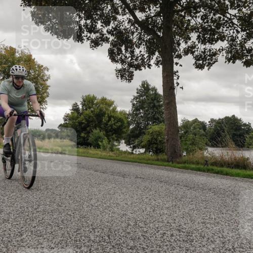 30.08.2026 - Elbe Triathlon Hamburg Michael Burmester http://msf.ph/oto/10054953 30.08.2026 11:18:49 Radfahren 1333, 1542, 1689 meine-sportfotos.de