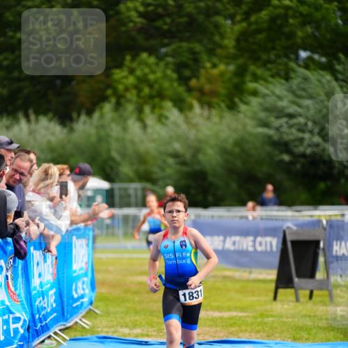 30.08.2026 - Elbe Triathlon Hamburg LAZAROV Photography http://msf.ph/oto/10070837 30.08.2026 12:55:16 Ziel 1831, 1856, 1868 meine-sportfotos.de